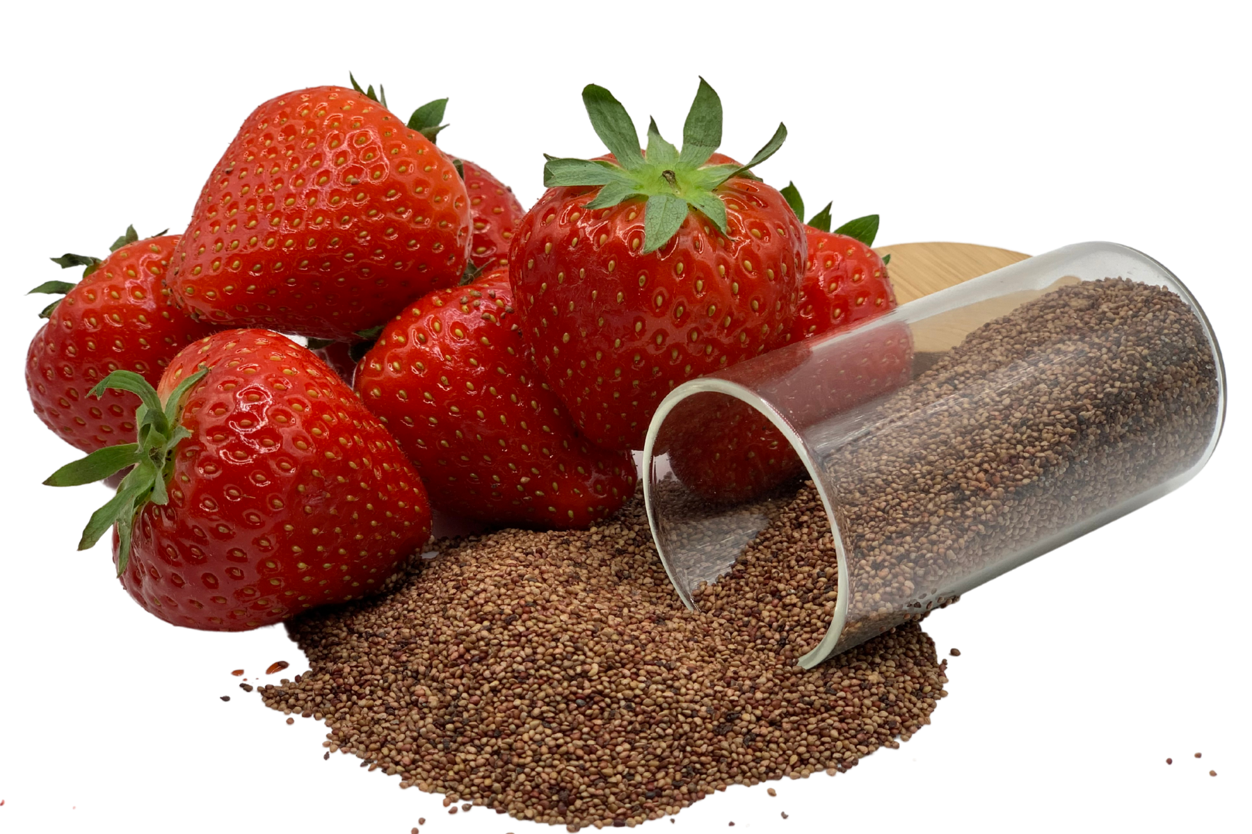 Strawberry Scrub Seeds / Erdbeer-Peeling-Samen