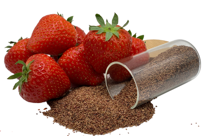 Strawberry Scrub Seeds / Erdbeer-Peeling-Samen